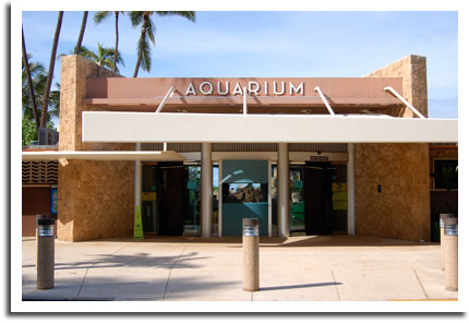 waikiki-aquarium