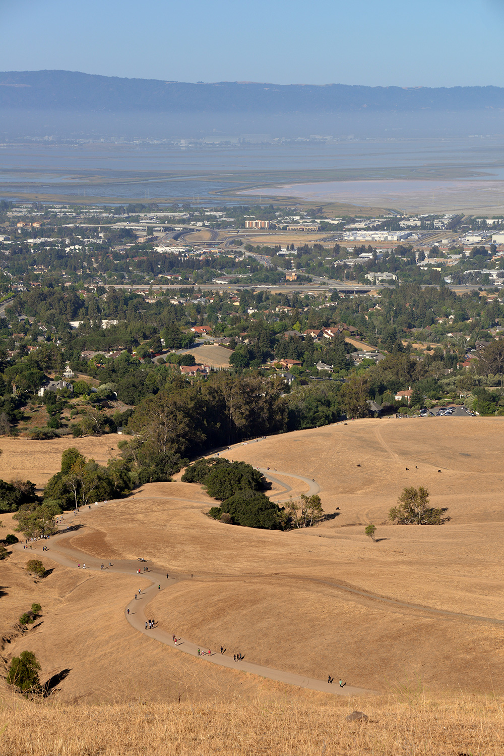 Mission Peak Regional Preserve